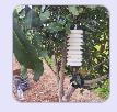 Canopy Microclimate Sensor